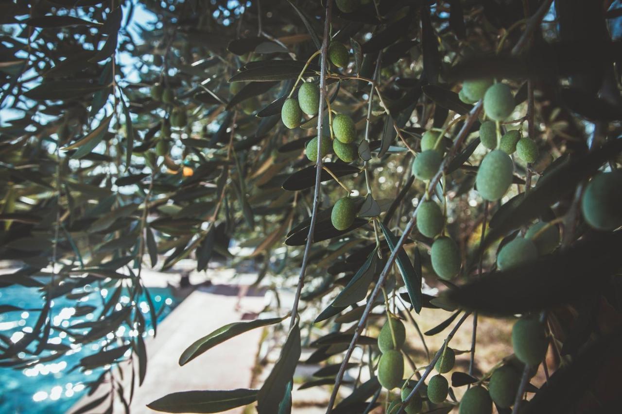 Case Vacanza Podere Risoino Poggibonsi Εξωτερικό φωτογραφία