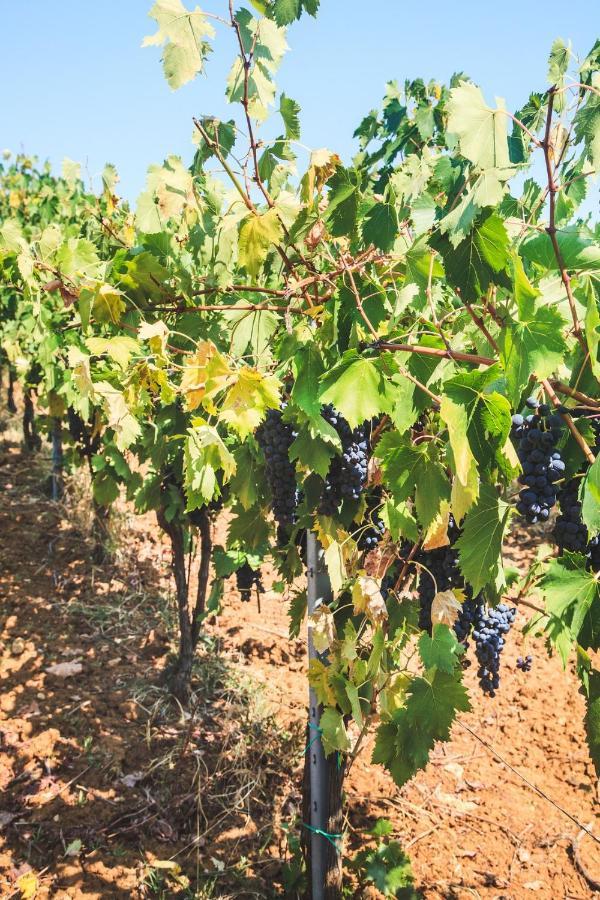 Case Vacanza Podere Risoino Poggibonsi Εξωτερικό φωτογραφία